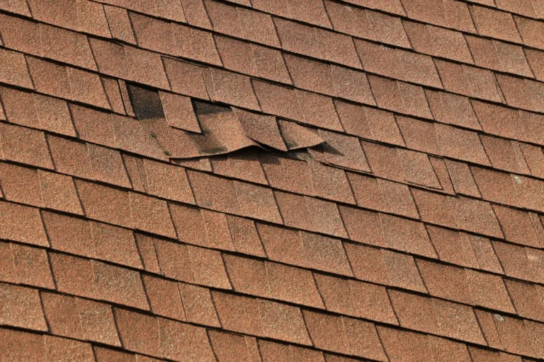 blown off shingles